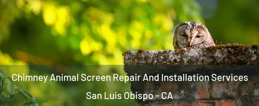  Chimney Animal Screen Repair And Installation Services San Luis Obispo - CA