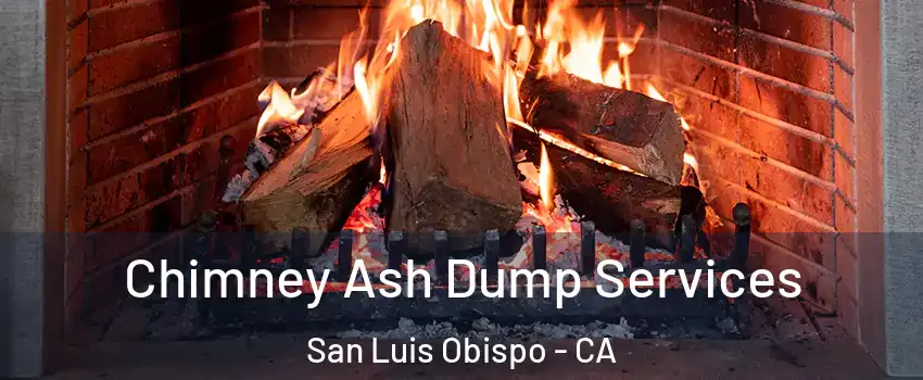  Chimney Ash Dump Services San Luis Obispo - CA