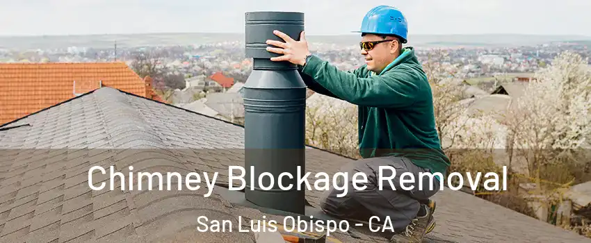  Chimney Blockage Removal San Luis Obispo - CA