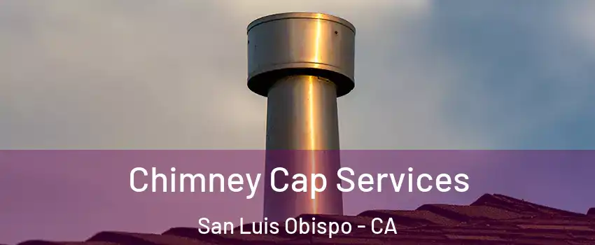  Chimney Cap Services San Luis Obispo - CA