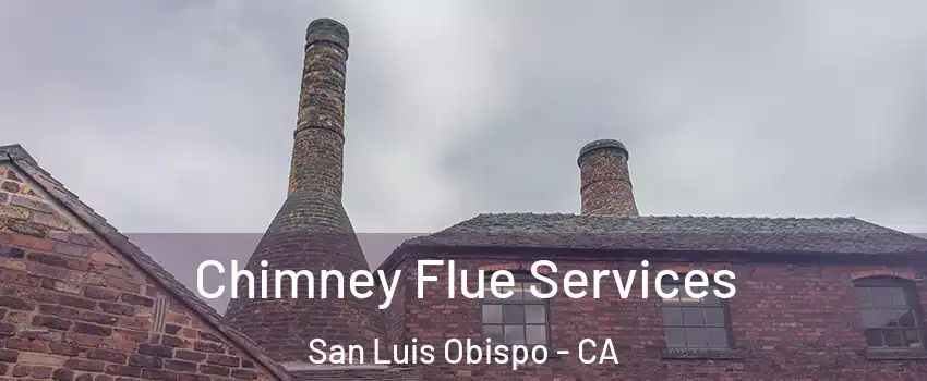  Chimney Flue Services San Luis Obispo - CA