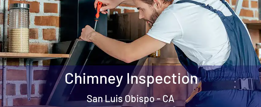  Chimney Inspection San Luis Obispo - CA