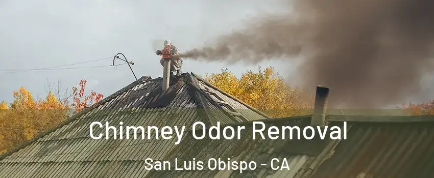  Chimney Odor Removal San Luis Obispo - CA