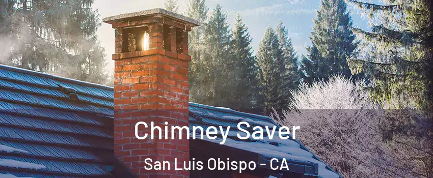  Chimney Saver San Luis Obispo - CA