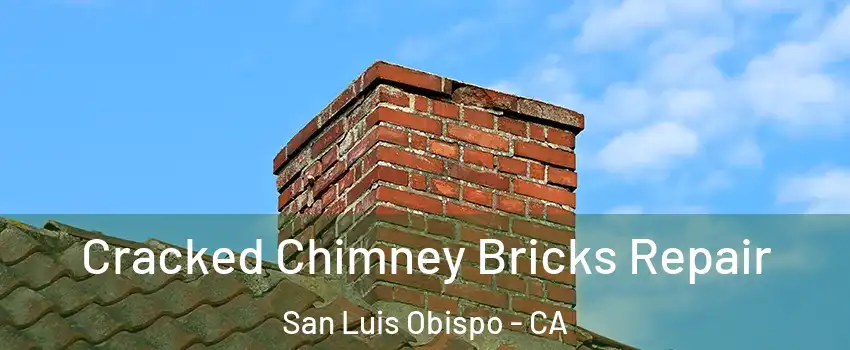  Cracked Chimney Bricks Repair San Luis Obispo - CA