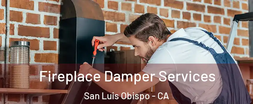  Fireplace Damper Services San Luis Obispo - CA