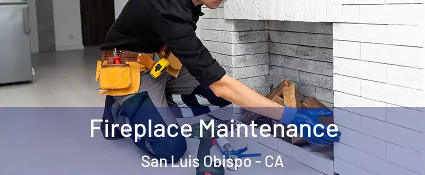  Fireplace Maintenance San Luis Obispo - CA
