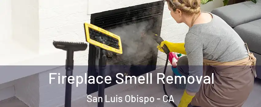  Fireplace Smell Removal San Luis Obispo - CA