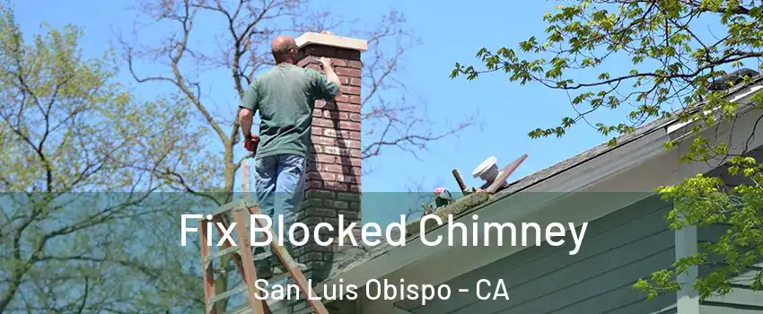  Fix Blocked Chimney San Luis Obispo - CA