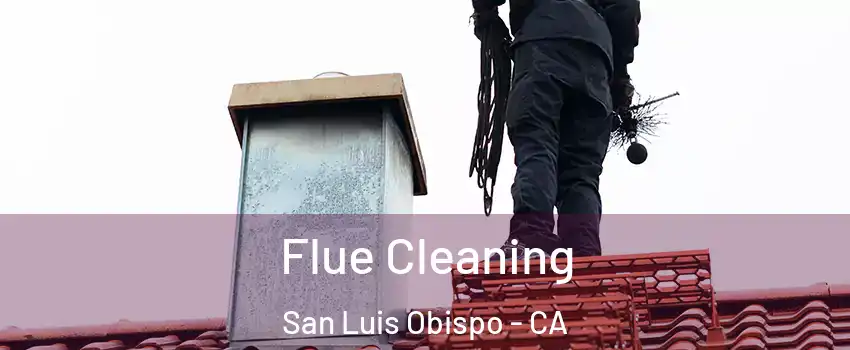  Flue Cleaning San Luis Obispo - CA