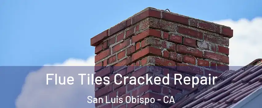 Flue Tiles Cracked Repair San Luis Obispo - CA