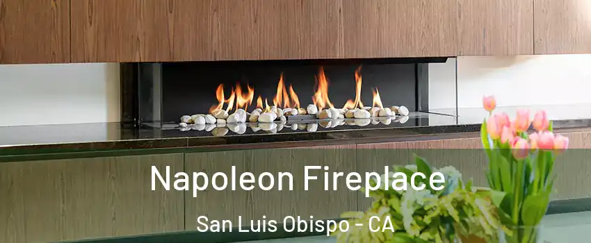  Napoleon Fireplace San Luis Obispo - CA